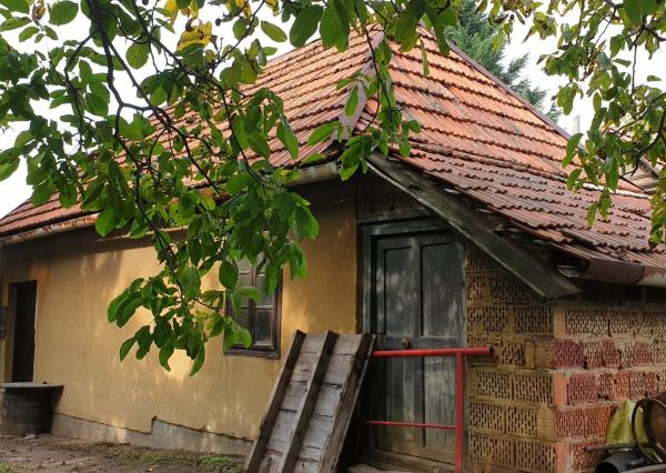 Predaj-2 priestranné pozemky 2500 m2 s viničným domčekom Veľká Maňa