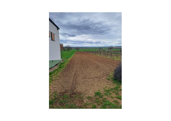 Predaj-  viničný pozemok s rozlohou 1329 m2 v obci Veľká Maňa