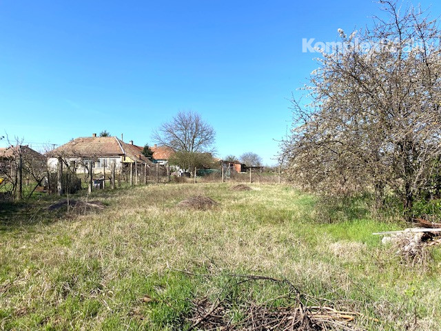 Na predaj 2-izbový rodinný dom s veľkým pozemkom v obci Dubník, okres Nové Zámky – možnosť výstavby ďalšieho domu