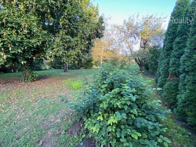 Predaj- 4i  dom v tichej lokalite s vizualizáciou interiéru, Šurany