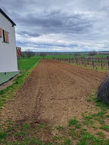 Predaj-3 priestranné pozemky 3806 m2 s viničným domčekom Veľká Maňa