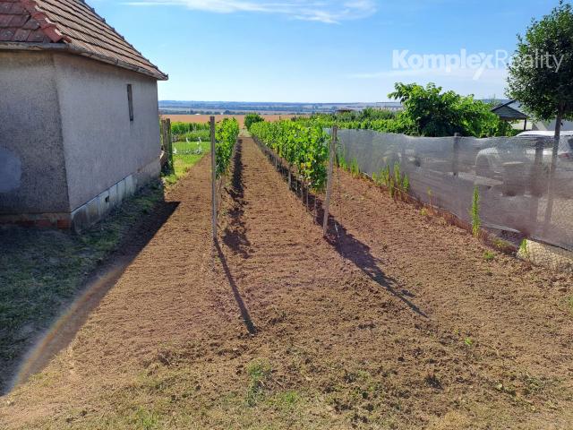 Predaj-3 priestranné pozemky 3806 m2 s viničným domčekom Veľká Maňa