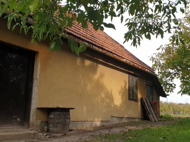 Predaj-3 priestranné pozemky 3806 m2 s viničným domčekom Veľká Maňa