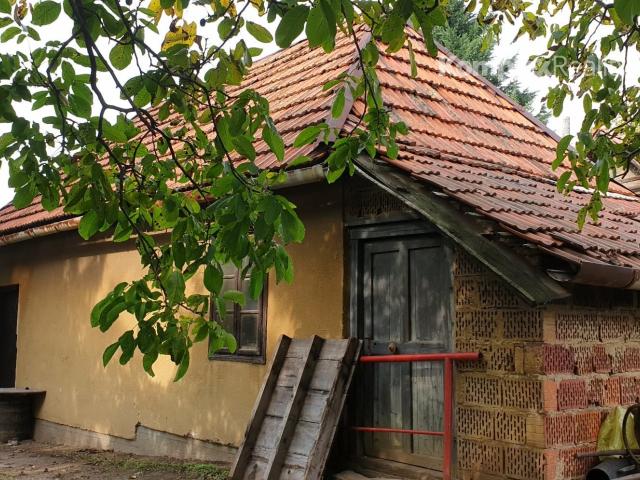 Predaj-3 priestranné pozemky 3806 m2 s viničným domčekom Veľká Maňa