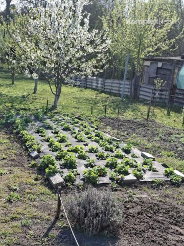 Predaj- útulný  3i rodinný dom po rekonštrukcii v tichej časti obce Nýrovce