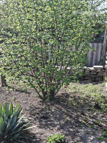 Predaj- útulný  3i rodinný dom po rekonštrukcii v tichej časti obce Nýrovce