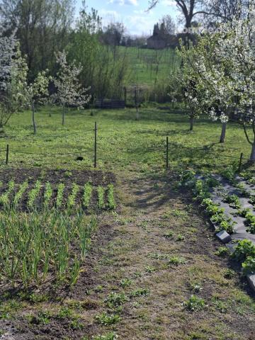 Predaj- útulný  3i rodinný dom po rekonštrukcii v tichej časti obce Nýrovce