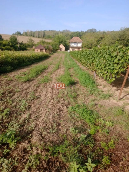Predaj- Pokojné miesto pre oddych aj pestovanie vlastnej vinice – Modrany /Patince 14 km/